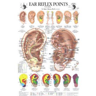 Ear Reflex Points Chart (Chinese Edition) (English and Chinese Edition): Terry Oleson: 9780962941580: Books