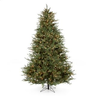 Itasca Frasier Fir Pre Lit Christmas Tree   Christmas Trees