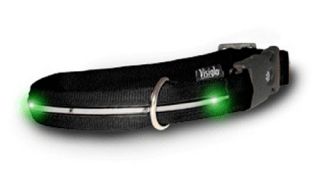 Black Nylon Dog Collars with Green LEDs   Accessories