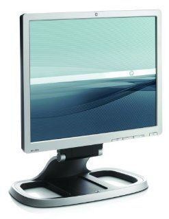 HP L1910 19" Flat Panel Screen LCD Monitor GS918A: Computers & Accessories