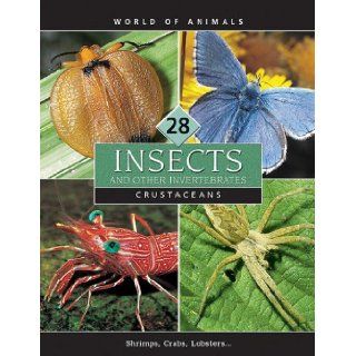 Insects and Other Invertebrates (World of Animals (Danbury, Conn.), V. 21 30.): 9780717258949: Books