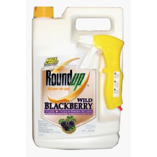 Roundup 170 oz Roundup Ready To Use Wild Blackberry Plus Vine & Brush Killer