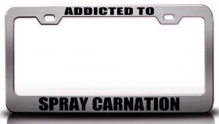 ADDICTED TO SPRAY CARNATION Flowers Steel Metal License Plate Frame Ch. # 79: Automotive