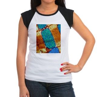 Mitochondrion, TEM   Tee by sciencephotos