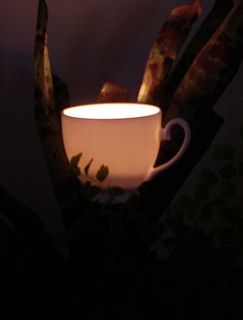 tea cup tea light burners gift pack by flock follies