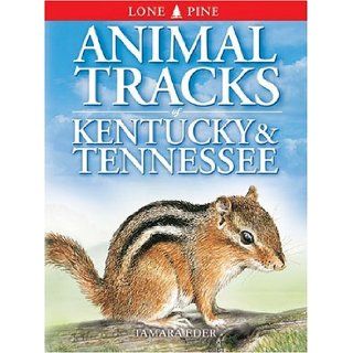 Animal Tracks of Kentucky & Tennessee (Animal Tracks Guides): Tamara Eder, Ian Sheldon: 9781551053196: Books