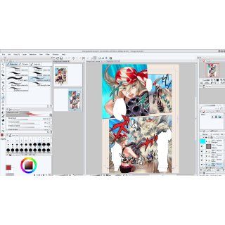 Manga Studio EX 5 Software