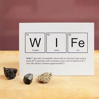 wife or husband funny anniversary card by newton and the apple