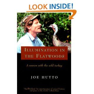 Illumination in the Flatwoods Joe Hutto 9781558216945 Books