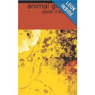 Animal Ghosts Or, Animal Hauntings and the Hereafter Elliott O'Donnell 9781426451409 Books