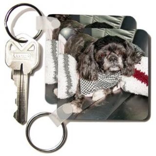 An Adorable House Pet Shiatsu Dog in The Back Seat of Car After Having Been Groomed in a Scarf   Set Of 2 Key Chains: Clothing