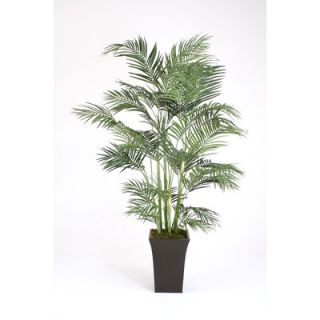 Distinctive Designs Areca Palm Tree in Planter