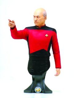 Titan Merchandise Star Trek: Captain Jean Luc Picard Mini Bust: Toys & Games