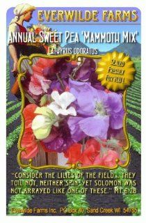 Everwilde Farms   1 Lb Mammoth Mix Sweet Pea Wildflower Seeds   Bulk Seed Packet : Flowering Plants : Patio, Lawn & Garden