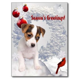 Customize It!  Jack Russell Terrier Christmas Wish Post Card