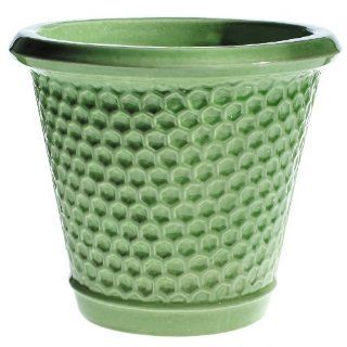 Global Pottery SD166 6 Honeycomb Planter, Happy Green, 6 Inch (Discontinued by Manufacturer) : Patio, Lawn & Garden
