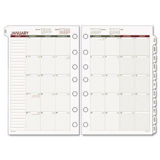 Day Runner Express Monthly Planning Pages Refill, 2010 Edition, 5.50 x 8.50 Inches, (061 685Y)  Appointment Book And Planner Refills 