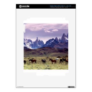 Horse Andes Mountains Argentina Skins For iPad 3