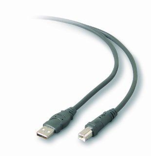 Belkin Pro Series USB 2.0 Extension Cable (F3U134B16): Computers & Accessories