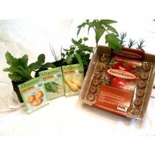 Indoor Culinary Lettuce Kit : Plant Germination Kits : Patio, Lawn & Garden