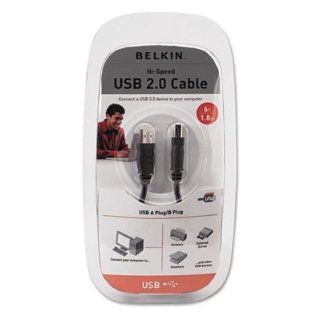 Belkin F3U133V16   Pro Series High Speed USB 2.0 Cable, 16 ft. BLKF3U133V16: Electronics