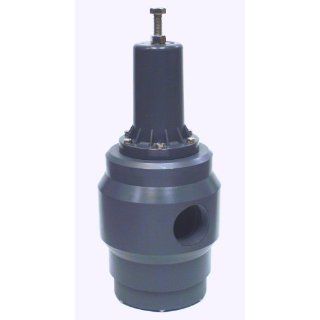 Plast O Matic PRH Series PVC High Flow Pressure Regulator, For Corrosives and High Purity and Water Applications, 10   125 psi Regulating range, 1/4" x 1/4" NPT Female: Industrial & Scientific