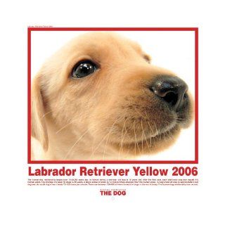 The Dog Yellow Labrador Retriever (Artlist Collection): 9781933131214: Books