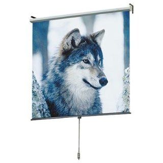 Draper 207009 Draper Screen 100" Roll (Discontinued by Manufacturer): Electronics