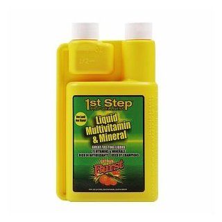 1st Step For Energy, Liquid Multivitamin & Mineral, Citrus Burst 16 fl oz (473 ml) Health & Personal Care