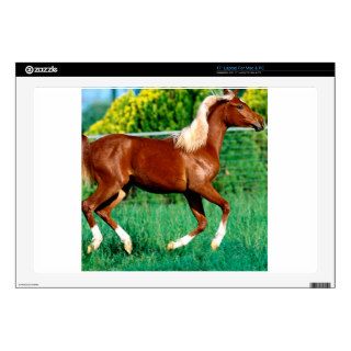 Horse Flames Flirt Arabian Yearling Decal For Laptop