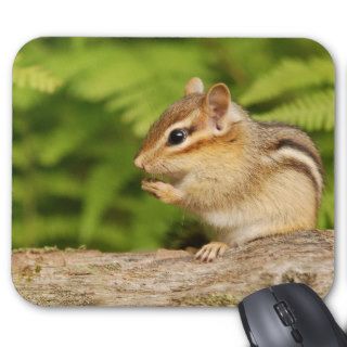 adorable baby chipmunk mouse pad