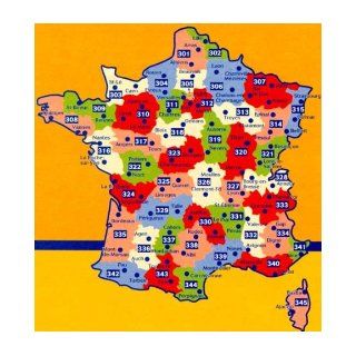 Michelin Local Map Number 318: Loiret, Loir et Cher, Blois, Orleans and Surrounding Area (France), Scale 1:150, 000 (Multilingual Edition): Michelin Travel Publications: 9780785902263: Books