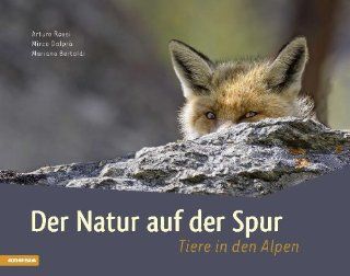 Der Natur auf der Spur: Tiere in den Alpen: Arturo Rossi, Mirco Dalpr, Mariano Bertoldi: Bücher