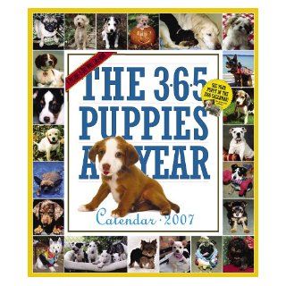The 365 Puppies A Year Calendar 2007: Workman Publishing: 9780761141983: Books