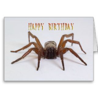 Funny birthday card