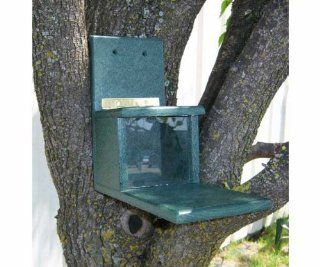 Recycled Plastic Squirrels Only Feeder   Keeps the Bird Away  Patio, Lawn & Garden