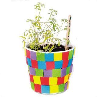 Herb Garden Craft Kit (makes 48) Toys & Games