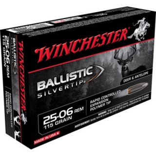 Winchester Supreme Ballistic Silvertip Bullets .25 06 Rem 415474