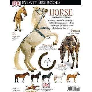 Horse (DK Eyewitness Books): Juliet Clutton Brock: 9780756637750:  Kids' Books