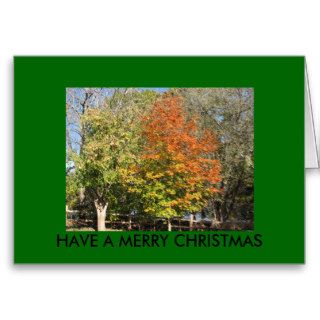 HAVE A MERRY CHRISTMAS GREETING CARDS
