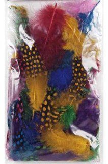 Nail Art Supplies  (1 Pack Guinea Feathers. Assorted Colors): Health & Personal Care