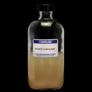 Mueller Hinton Agar, Prepared Media Bottle, 125 mL: Science Lab Agar Media: Industrial & Scientific