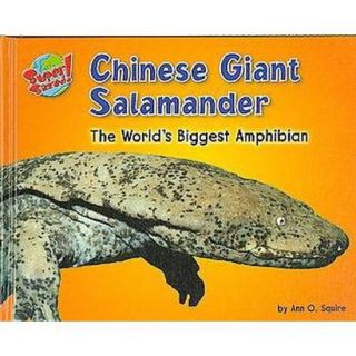 Chinese Giant Salamander (Hardcover)