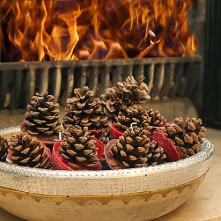 ten scented pinecone fire lighters by ella james