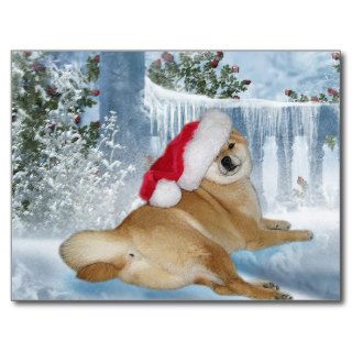 Christmas Shiba Inu Postcard