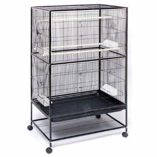 Prevue Hendryx Wrought Iron Flight Cage PP F040 : Birdcages : Pet Supplies
