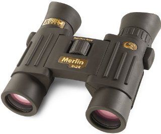Steiner 8x24 Merlin Binocular : Camera & Photo