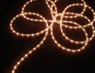 100' Clear Commercial Length Christmas Rope Light On a Spool: Home Improvement