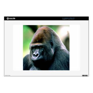 Gorillas Brooding Western Lowland Decal For 15" Laptop