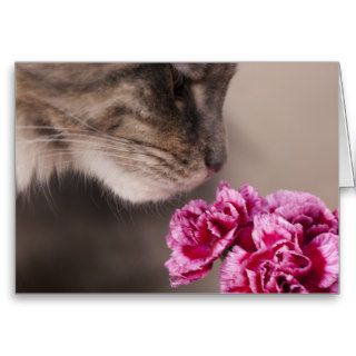 With love on Mother's Day Cat and Carnations Card